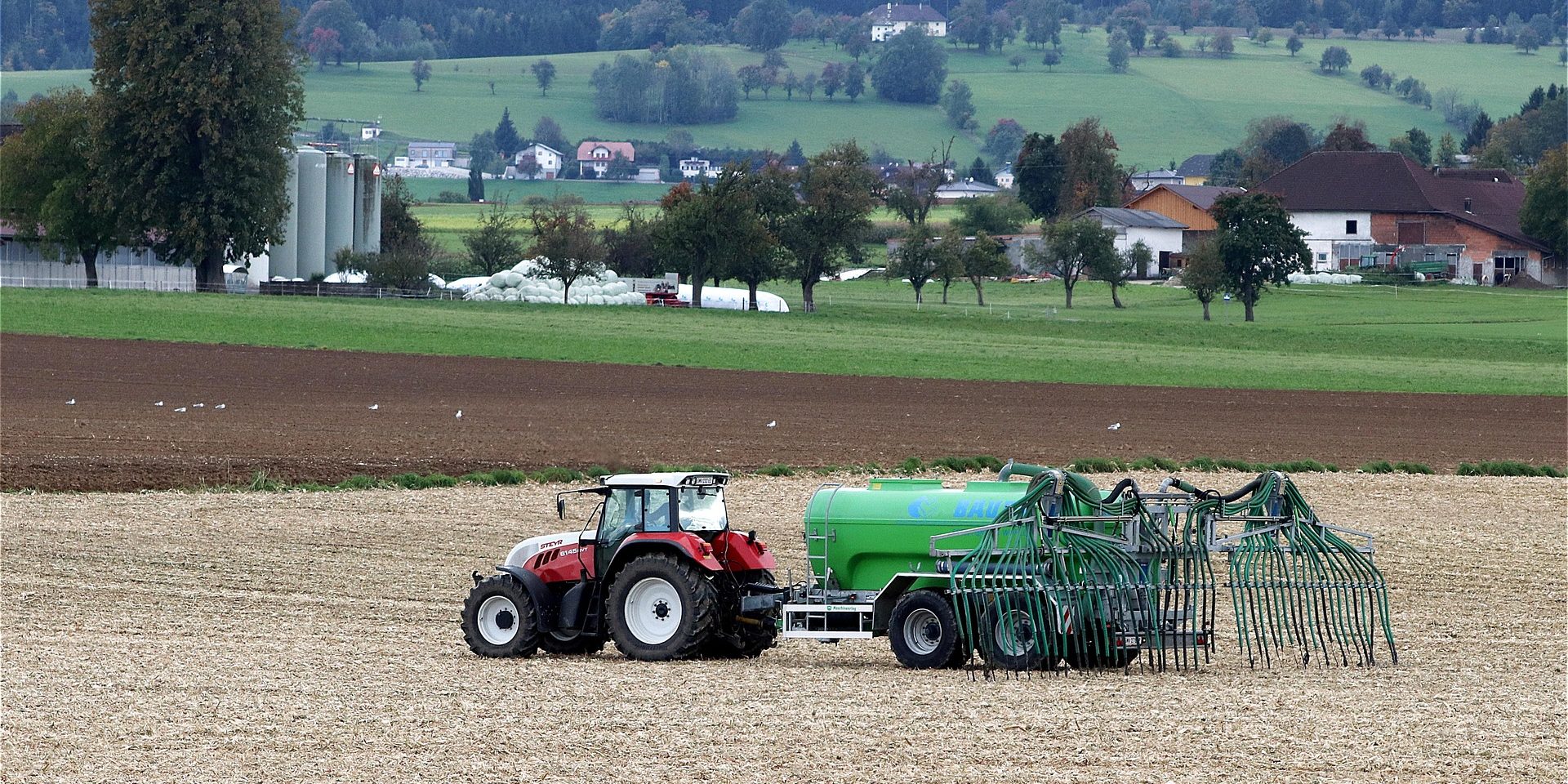 fertilization 4535864 1920 fertilization 4535864 1920