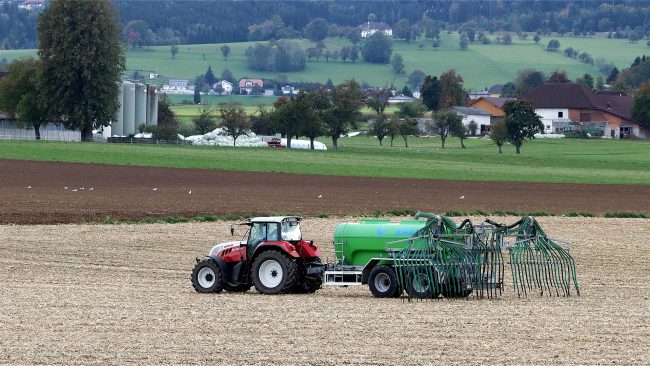 fertilization 4535864 1920 fertilization 4535864 1920