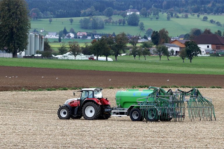 fertilization 4535864 1920