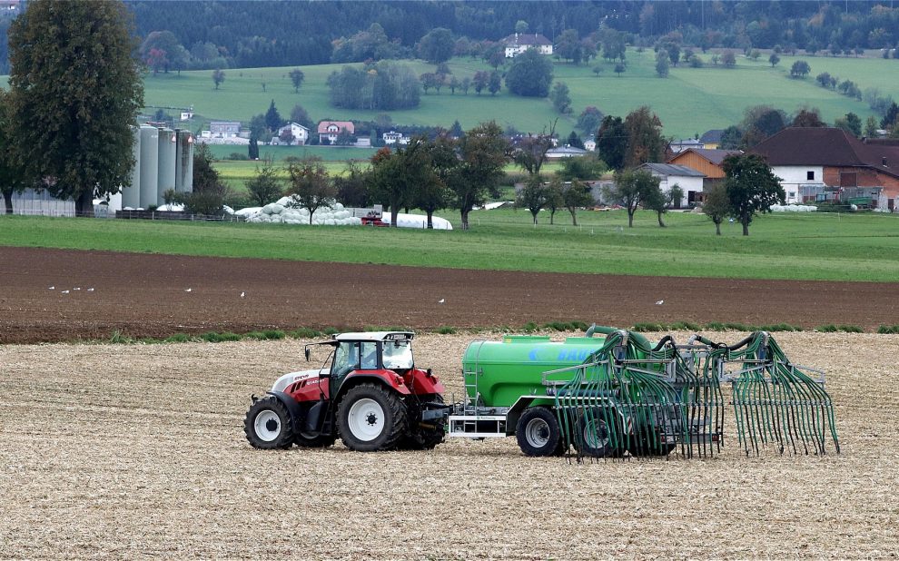 fertilization 4535864 1920